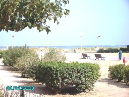 Barcares F2 Cabine, Rdc, Plage 50 M, 28 M2, 6 Personnes Le Barcarès المظهر الخارجي الصورة
